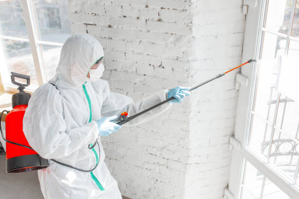  , USA Mold Removal & Remediation Pros